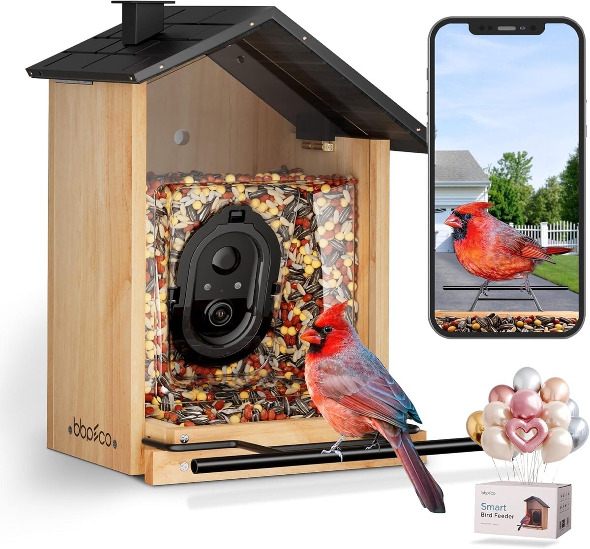 Test : mangeoire BBPECO Smart Bird House avec caméra IA