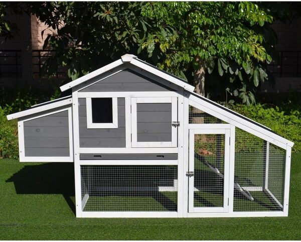 Animal Valley Poulailler Toit Plastique 2 à 4 Poules Toit Plastique Ondulé