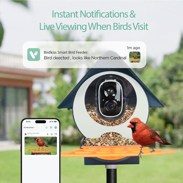 Birdkiss Mangeoire intelligente pour oiseaux avec caméra, caméra d'identification IA avec panneau solaire, capture automatique des vidéos Full HD et notification instantanée, cadeau idéal pour les