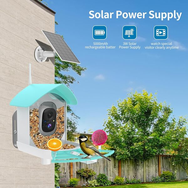 Mangeoire intelligente pour oiseaux avec caméra, identifie les races d'oiseaux, fonctionne à l'énergie solaire, WiFi FHD 2K, capture automatique des vidéos, observation des oiseaux dans le