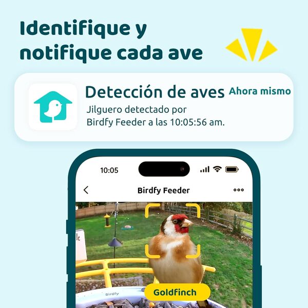 Caméra Mangeoire à Oiseau, Mangeoire Oiseaux avec Support Multifonctionnel, Camera WiFi sans Fil + Panneau Solaire Etanche IP65, Capture Automatique d'Images/Vidéos pour l'Observation des Oiseaux