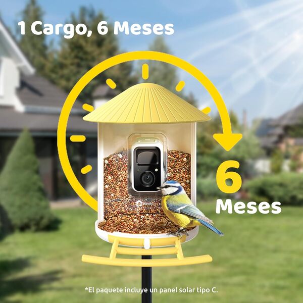 NETVUE Birdfy Mangeoire à Oiseaux avec Caméra, Observez Oiseaux sur APP Téléphone en Temps Réel, Notification Instantanée, Capture Auto d'Images/Vidéos, Mangeoire Oiseaux Camera Extérieure sans Fil