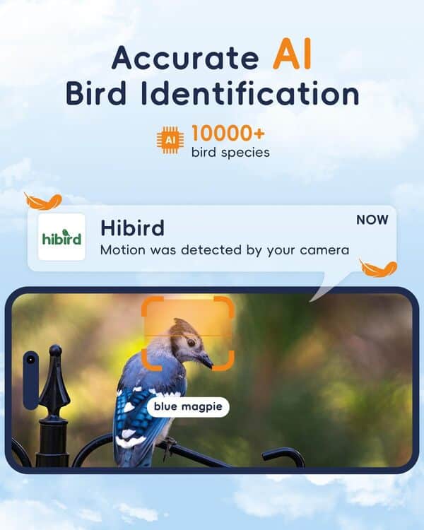 Hibird Mangeoire à oiseaux avec caméra, identification intelligente IA et capture automatique de plus de 10 000 espèces d'oiseaux IP66 Mini caméra de surveillance sans fil avec panneau solaire, cadeau