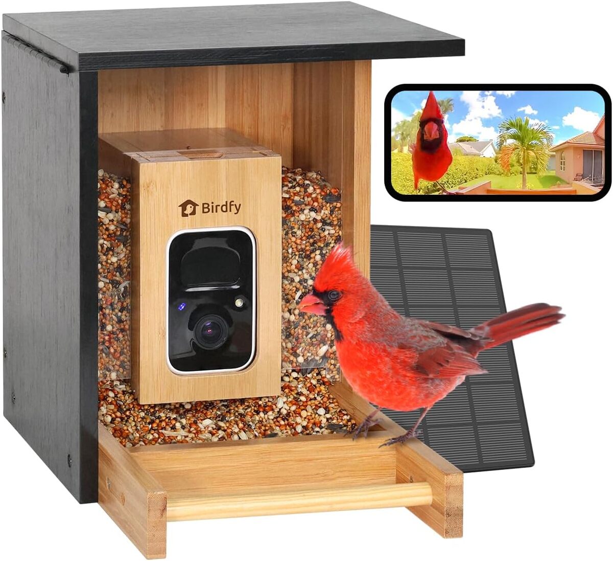 Test : birdfy mangeoire intelligente, caméra solaire en bambou Mini Lite