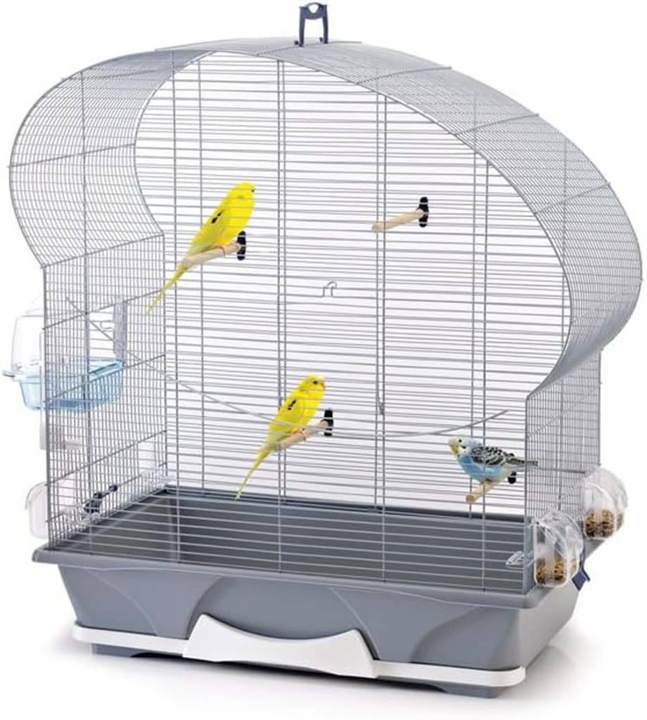 Test de la cage Ellipse 50 Vadigran Savic pour petit oiseau argent