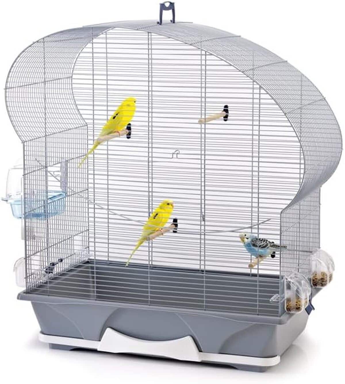 Test de la cage Ellipse 50 Vadigran Savic pour petit oiseau argent