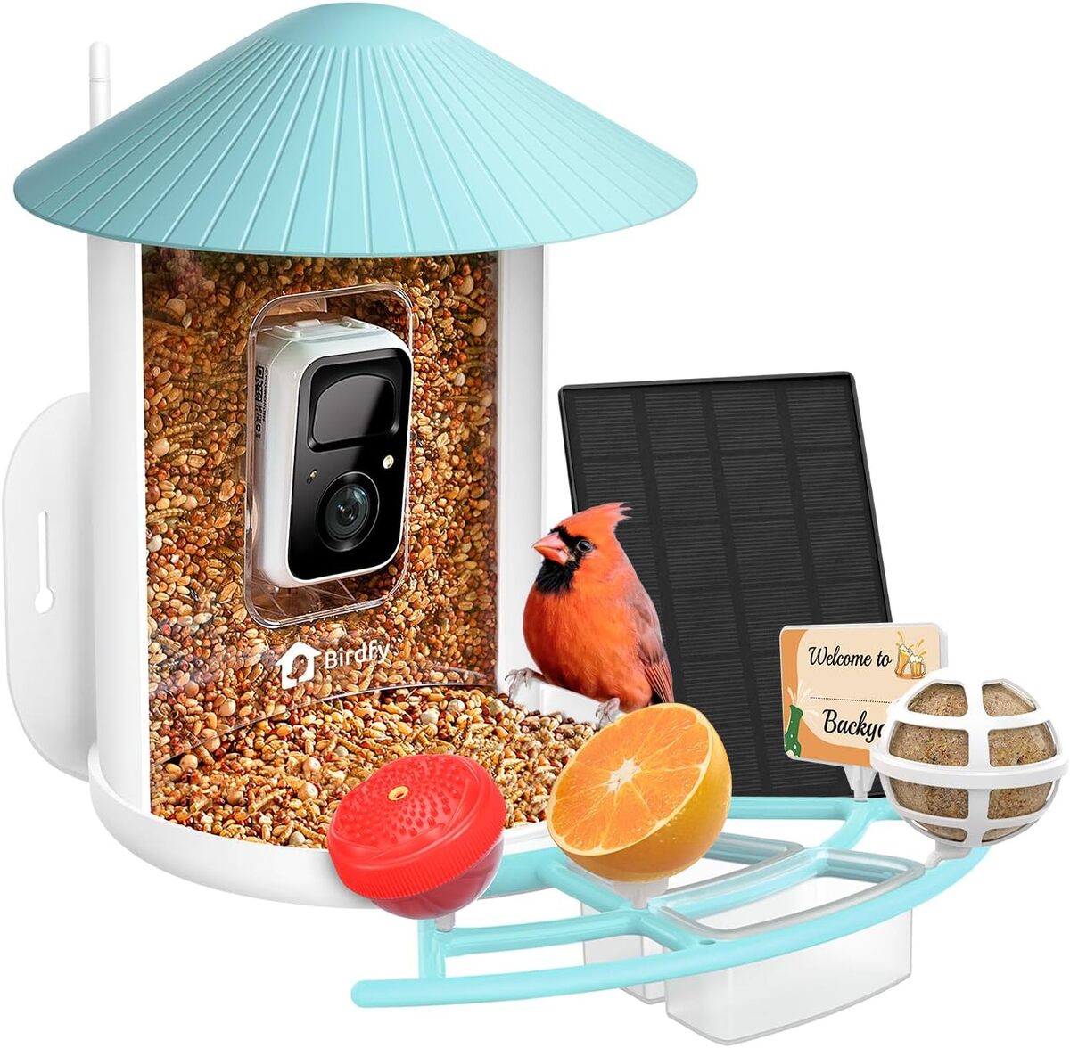 Test de la caméra mangeoire à oiseaux : selfies ailés garantis