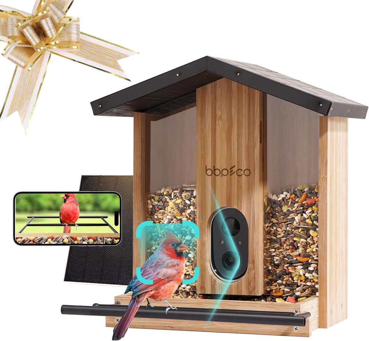Test de la mangeoire à oiseaux intelligente BBPECO avec caméra solaire