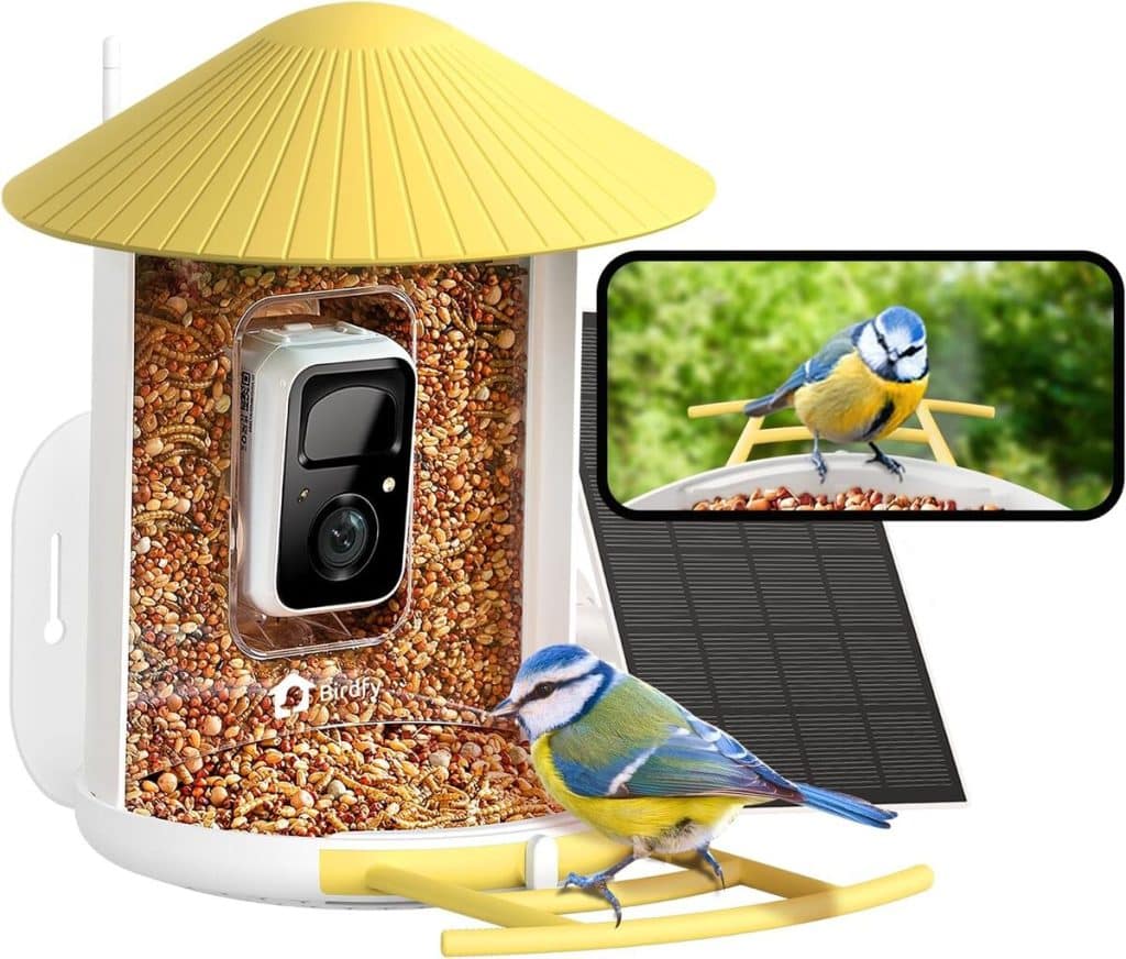 Test de la mangeoire caméra Netvue Birdfy : observez les oiseaux en temps réel
