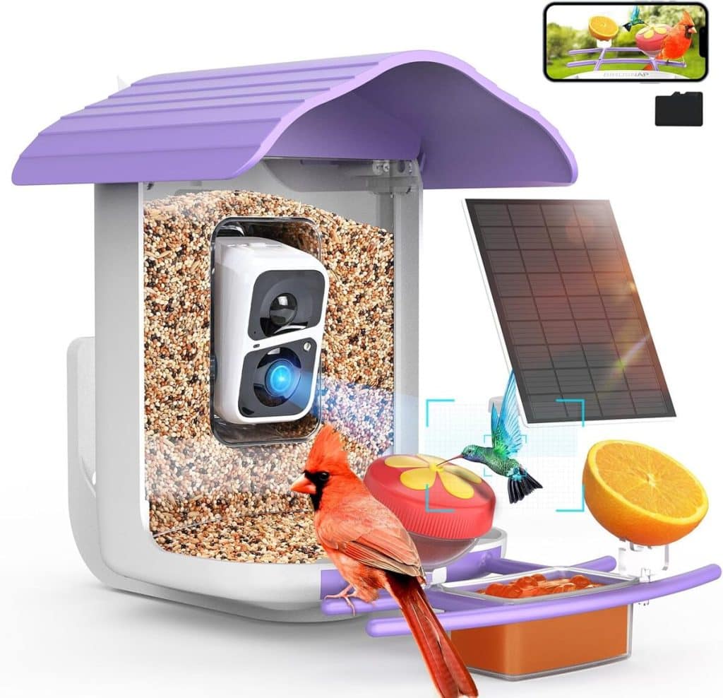 Test de la mangeoire intelligente birdsnap® PAV avec caméra solaire 2K