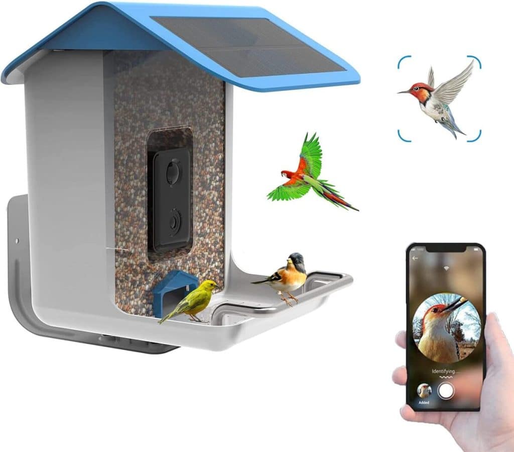 Test de la mangeoire Justincity intelligente avec caméra HD