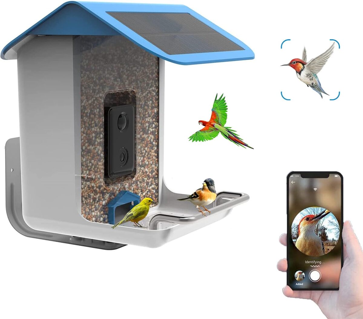 Test de la mangeoire Justincity intelligente avec caméra HD