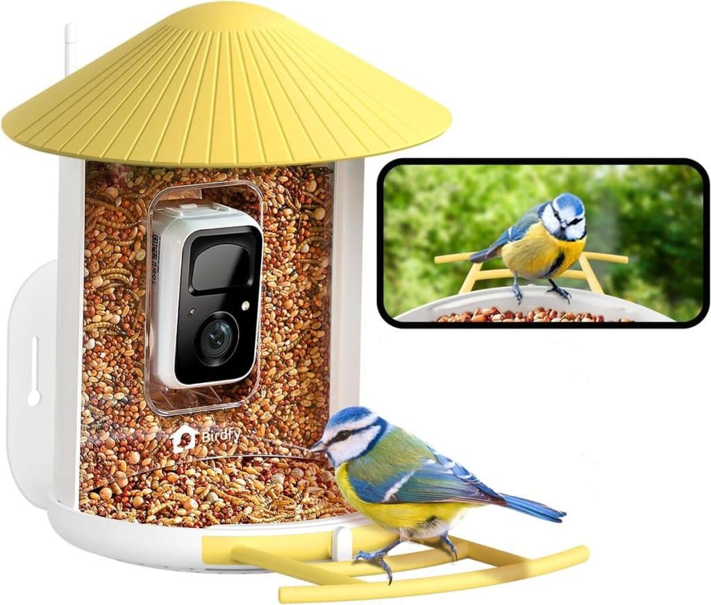 Test de la mangeoire NETVUE Birdfy : caméra d'observation sans fil