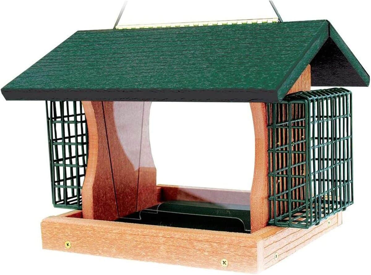 Test de la mangeoire Woodlink GGPRO2 taille L : nourrissez les oiseaux avec style