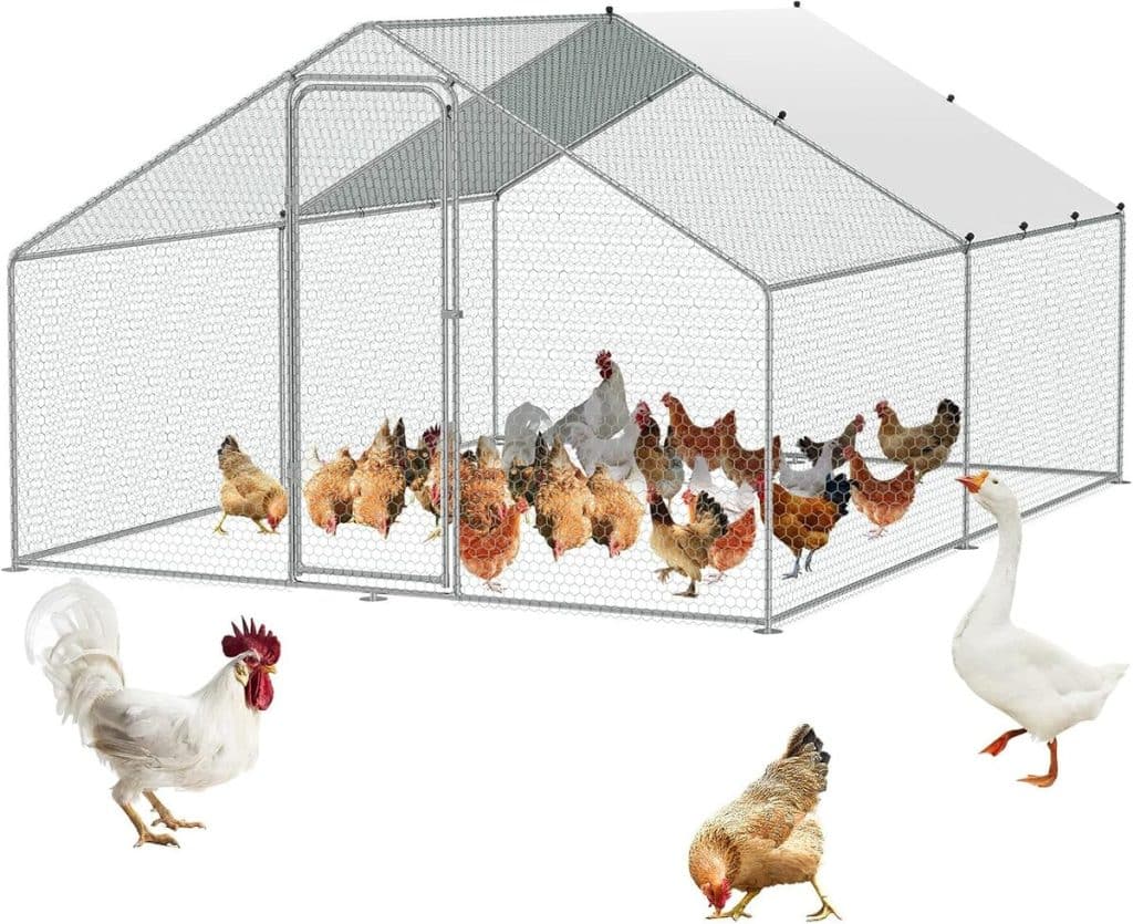 Test du poulailler VEVOR : grand modèle sécurisé pour extérieur