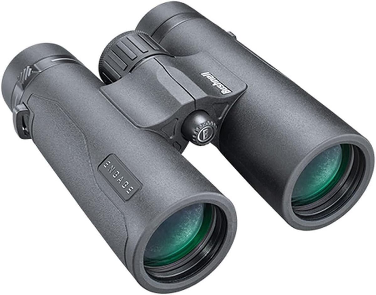 Test jumelles Bushnell Benx1042 : performance en 10 x 42