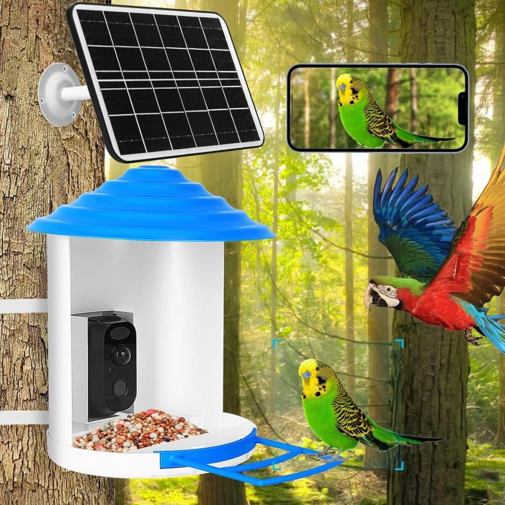 Test : mangeoire à oiseaux avec caméra intelligente et détection de mouvement
