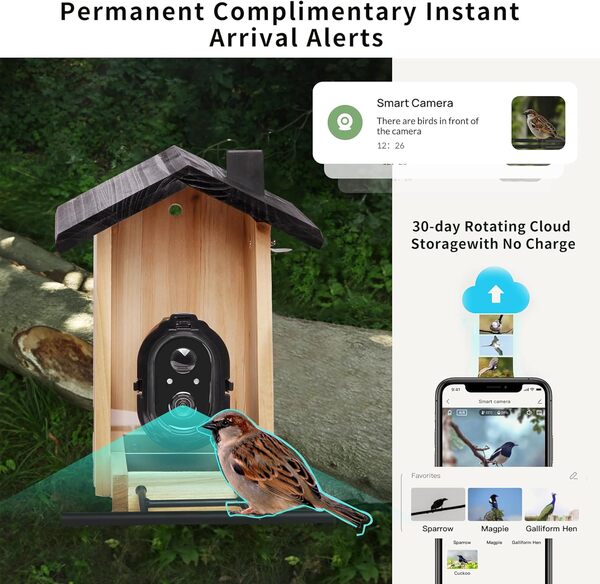 Origem Mangeoire à Oiseaux avec Caméra, 3L Mangeoire Oiseaux Extérieur avec Détection Automatique et Notifications Instantanées, Vision Nocturne en Couleur, 3W Panneau Solaire et Stockage Cloud