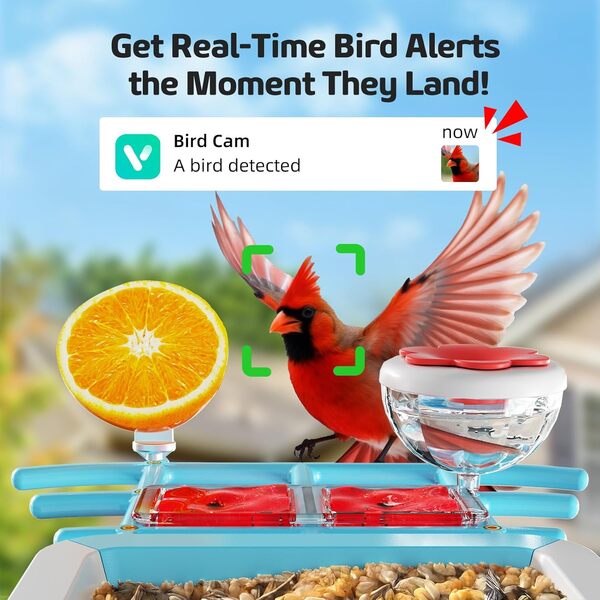 Mangeoire à oiseaux avec caméra 2K HD AI, panneau solaire intelligent pour identifier les espèces d'oiseaux, nichoir d'extérieur avec caméra, alertes d'arrivée instantanées, capture des vidéos