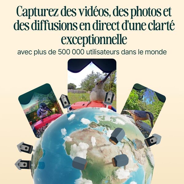 Birdbuddy Mangeoire intelligente non solaire pour oiseaux avec caméra – Identification des espèces d'oiseaux AI, photos 5 Mp, caméra vidéo HD 2K en direct, charge alimentée par batterie, mise au point