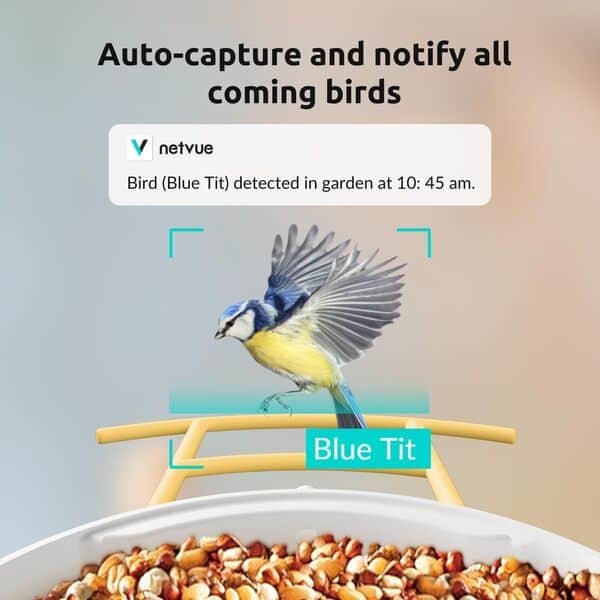 NETVUE Caméra intelligente Birdfy pour mangeoire à oiseaux, identification automatique, notification, enregistrement de vidéos d'oiseaux, recueillir de manière permanente, résumé d'observation des