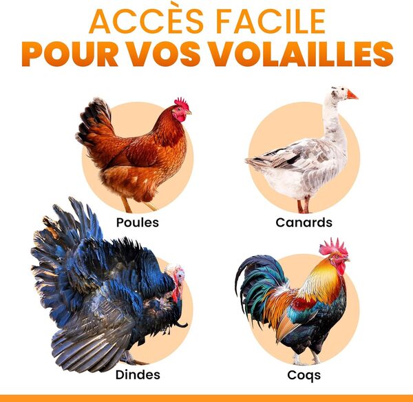 Porte Poulailler Automatique XL - Panneau Solaire – Ecran LCD, Télécommande, Capteur Lumière, Minuterie & Sécurité Anti-Pincement – Large Ouverture 28,7 x 22,1 cm – Protection 5 Ans – Okköbi - Noire