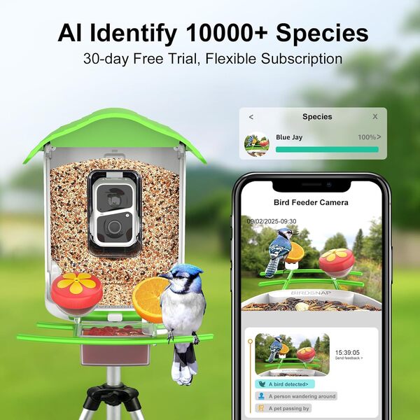 PAV Mangeoire intelligente pour oiseaux avec caméra à énergie solaire, carte de 64 Go et enregistrement vidéo HD 2K avec 5 modules complémentaires à faire soi-même, capture automatique