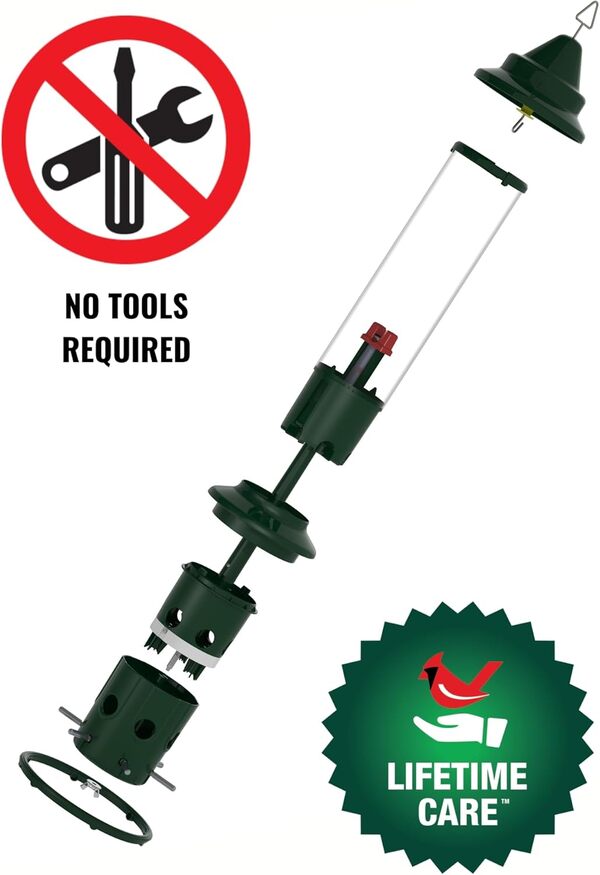 Squirrel Buster Plus Bird Feeder