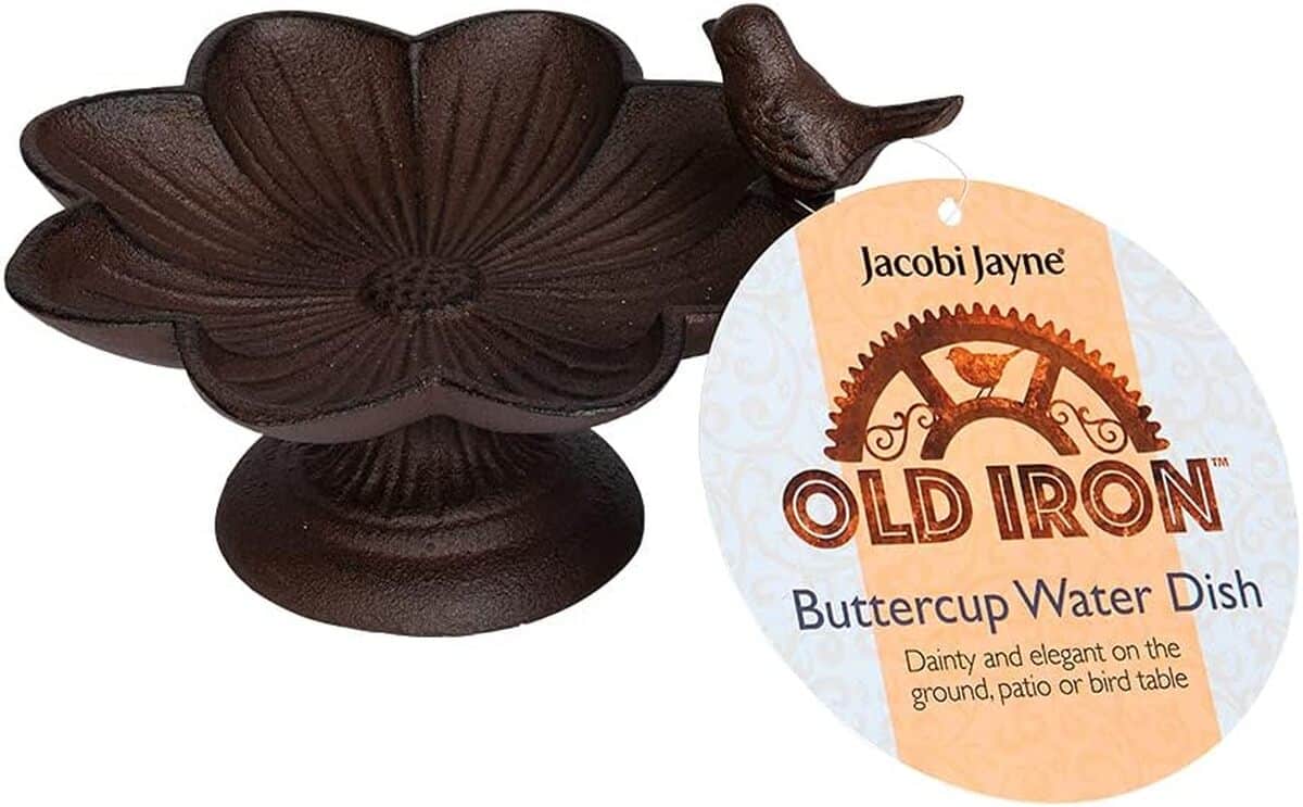 Bain d'oiseaux ancien en fer Jacobi Jayne : test et avis