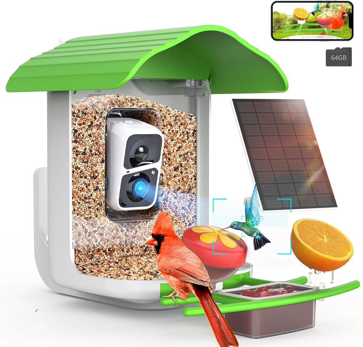 Test birdsnap PAV : mangeoire intelligente à caméra solaire et vidéo HD 2K