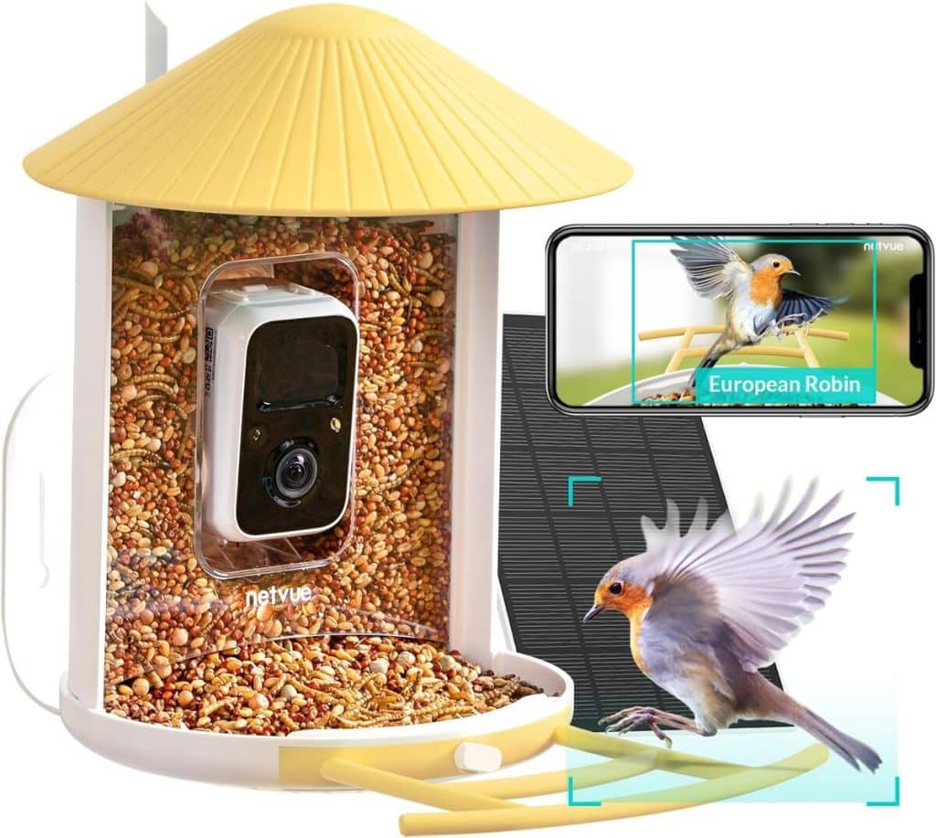 Test de la caméra intelligente Birdfy Netvue : observation automatisée des oiseaux