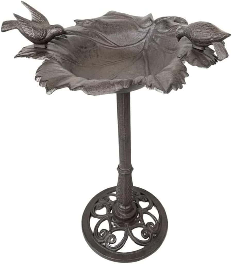 Test de la mangeoire bain d'oiseau L'Héritier Du Temps en fonte