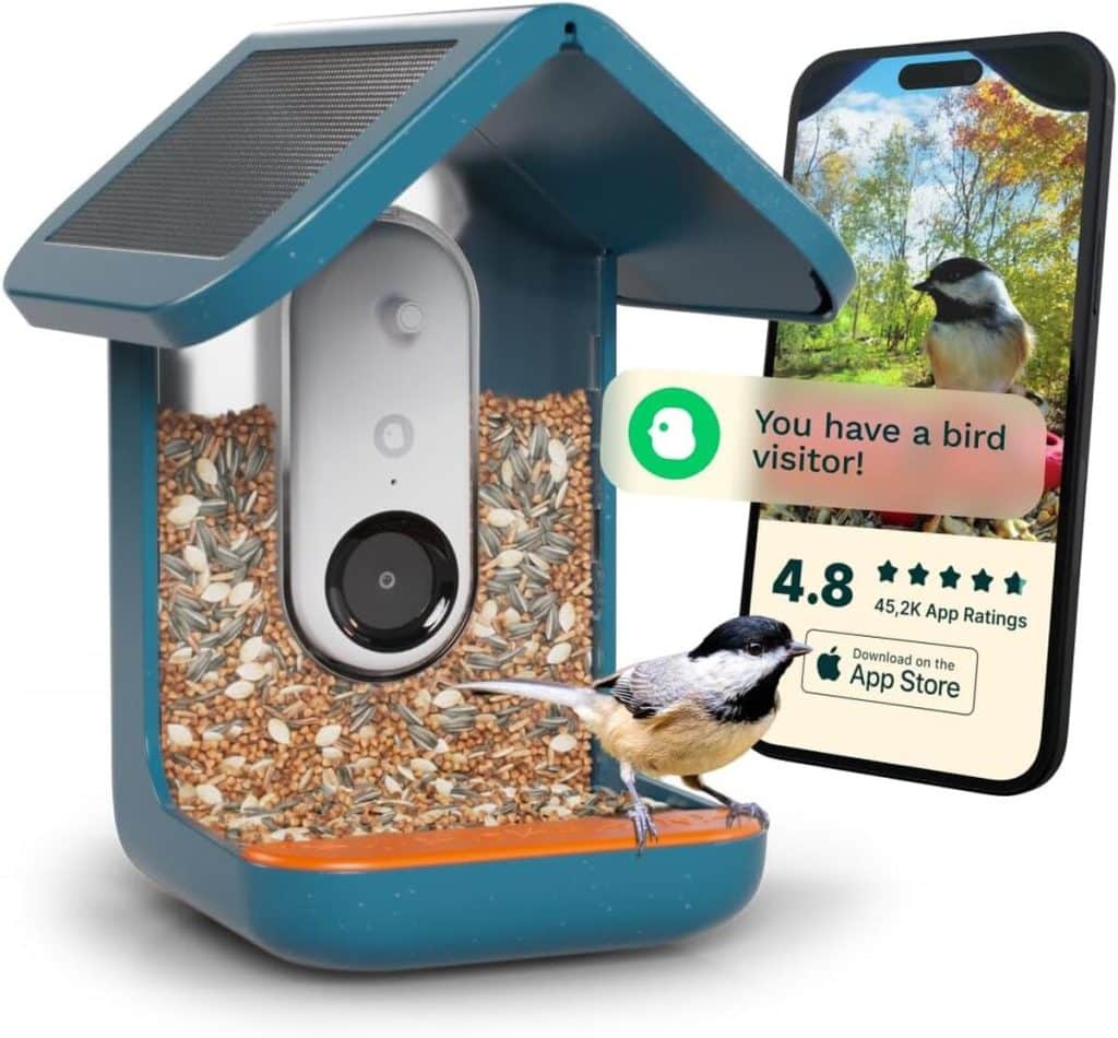 Test de la mangeoire intelligente Bird Buddy® : photos rapprochées et énergie solaire