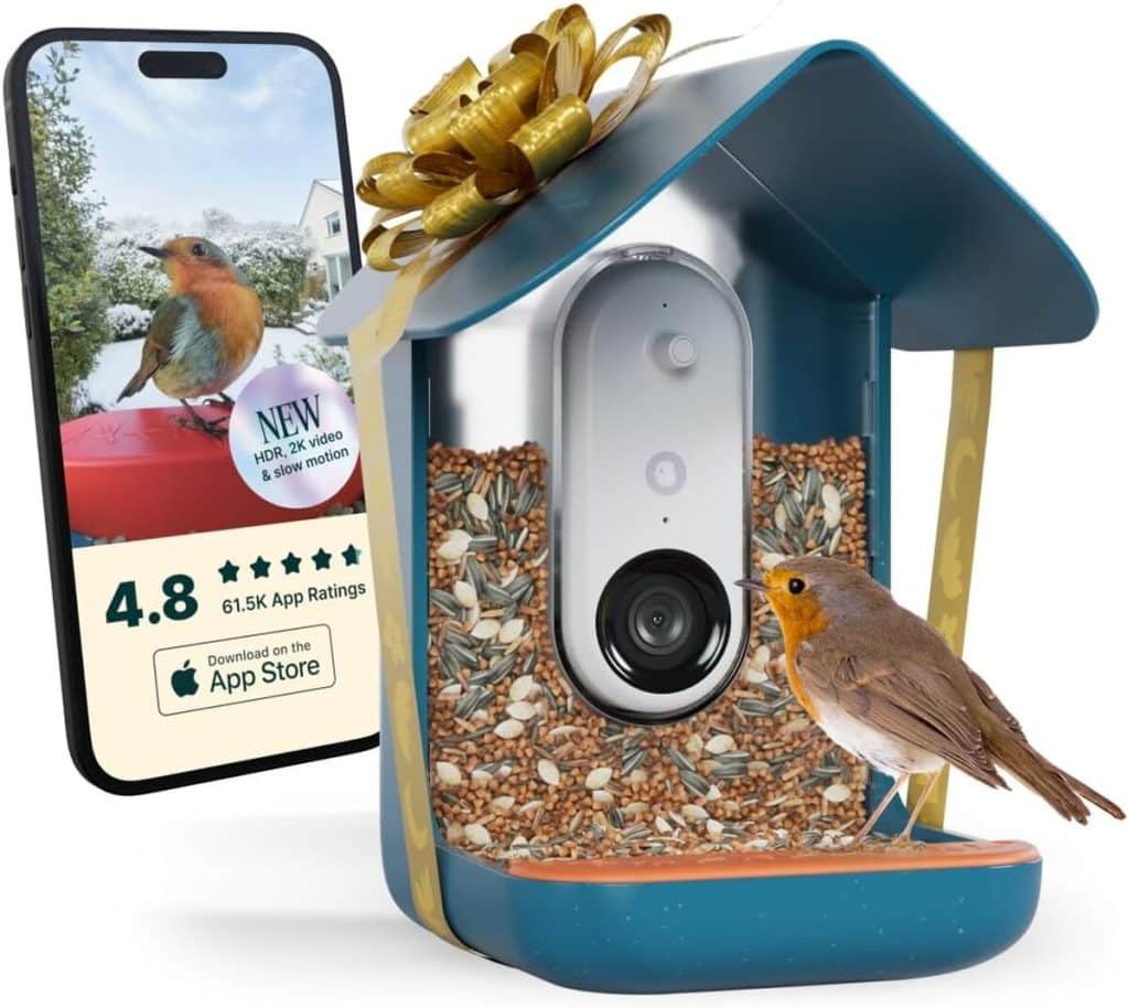 Test de la mangeoire intelligente Birdbuddy : caméra 2K et identification AI