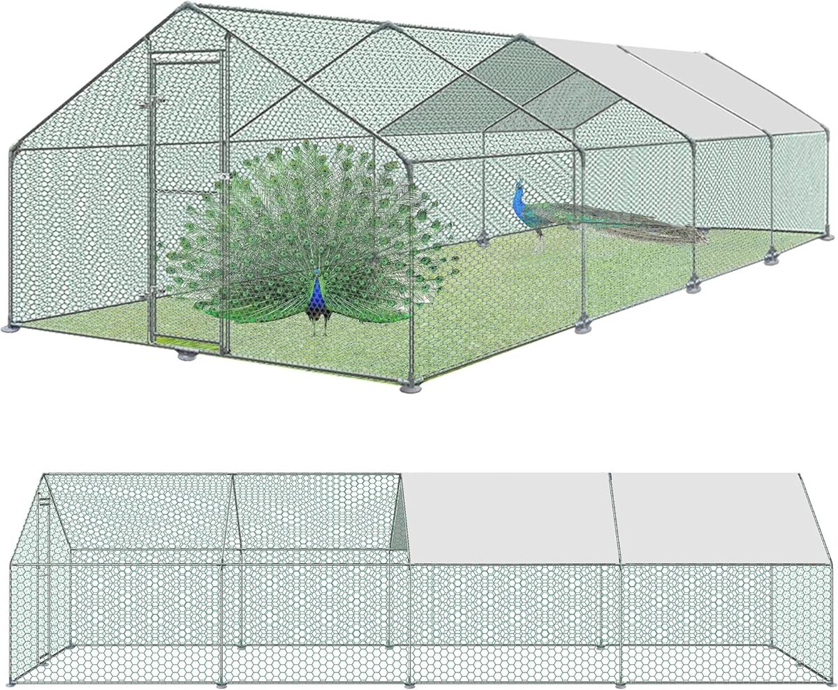 Test de l'enclos XINZI 24㎡ : sécurité et espace pour petits animaux