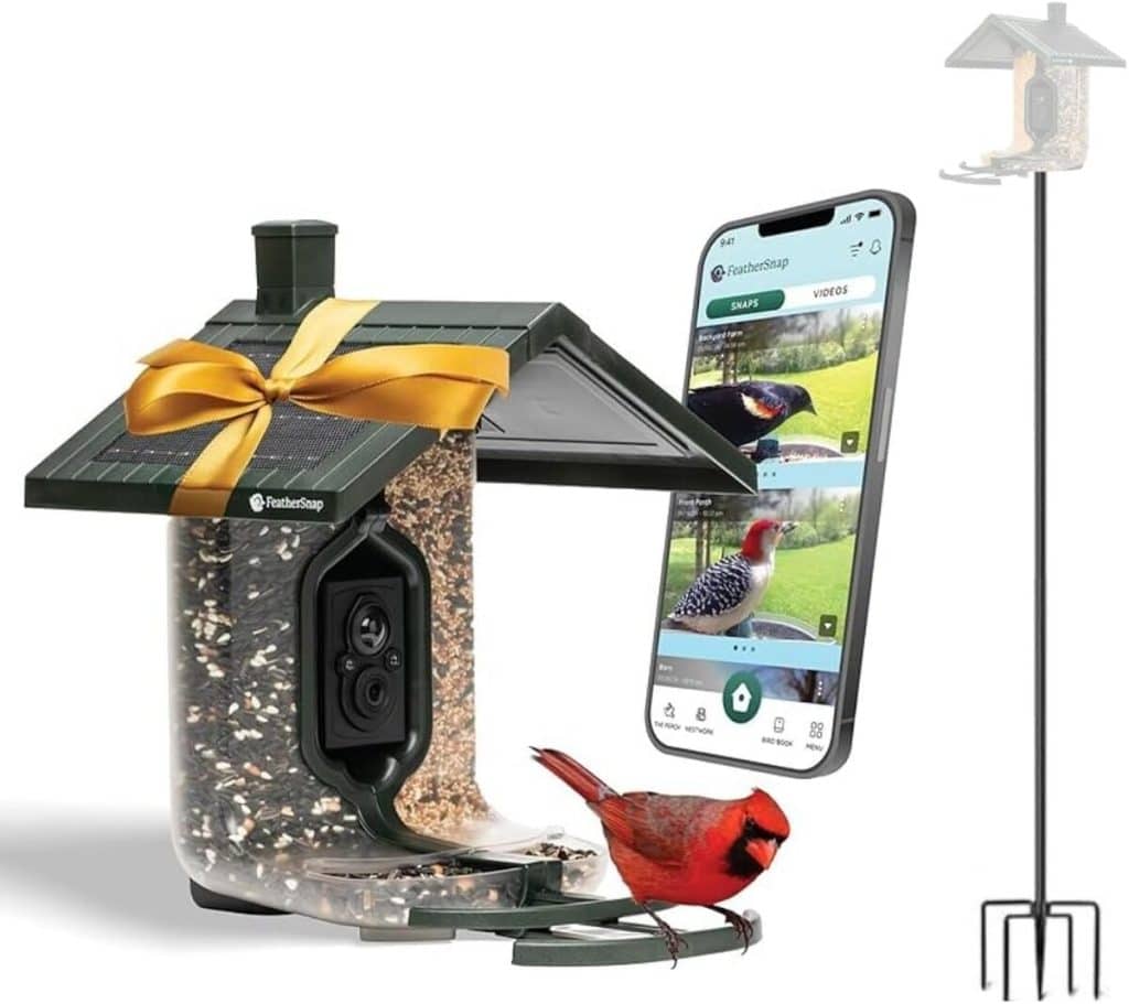 Test mangeoire intelligente solaire BirdBuddy : high-tech et design