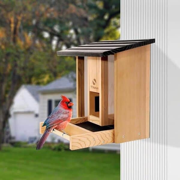 TT Nature Mangeoire à oiseaux, 3,2 L, grande mangeoire à oiseaux en bois pour l'extérieur, mangeoire étanche pour observer les oiseaux dans le jardin