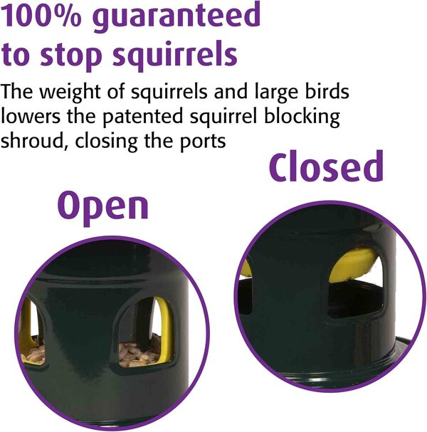 Jacobi Jayne Mangeoire à Oiseaux Anti-écureuils - Évolution des Maraudeurs - Garanti Contre Écureuils et Grands Oiseaux - en Métal Vert