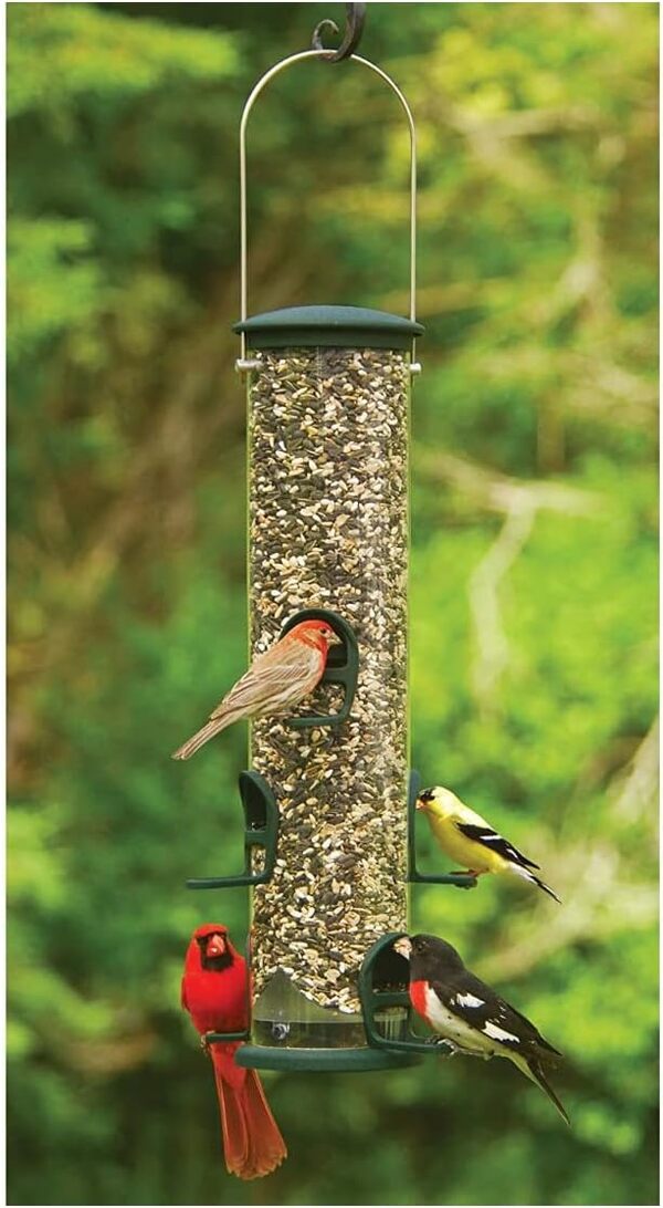 Aspects 421 Spruce Quick Clean Grande mangeoire à Tube