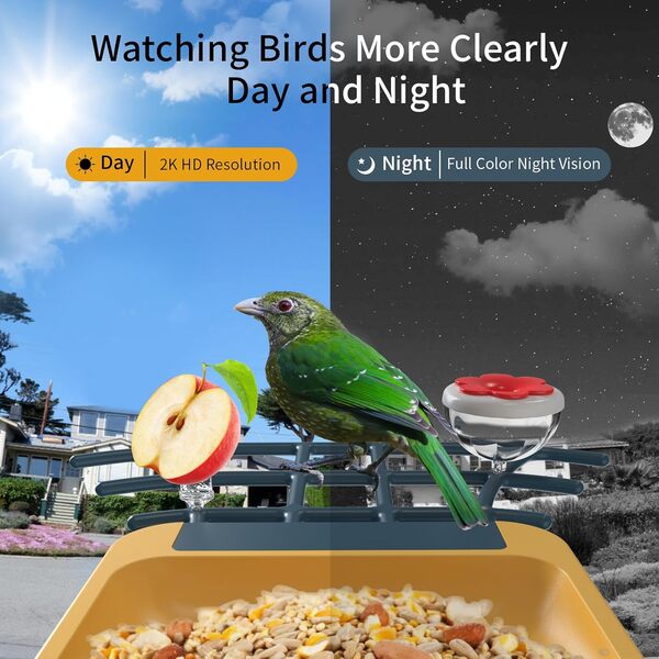 oddkont Mangeoire à oiseaux avec caméra – Caméra intelligente avec identification des espèces d'oiseaux, enregistrement automatique des vidéos des oiseaux, notifications instantanées, caméra vidéo 2K
