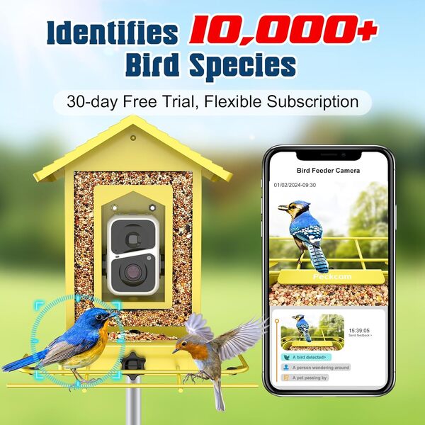 PeckCam Mangeoire intelligente pour oiseaux avec appareil photo, jaune