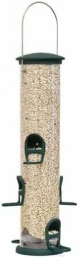 Évaluation des aspects de la mangeoire rapide 421 en épicéa