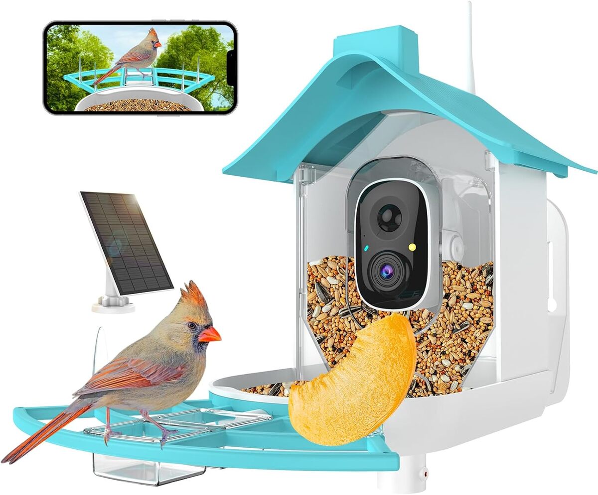 Test de la mangeoire à oiseaux avec caméra et IA