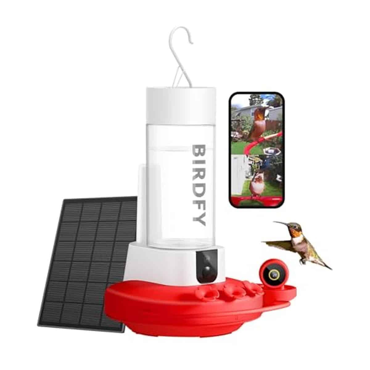 Test de la mangeoire Birdfy 2K HD pour colibri avec caméras solaires