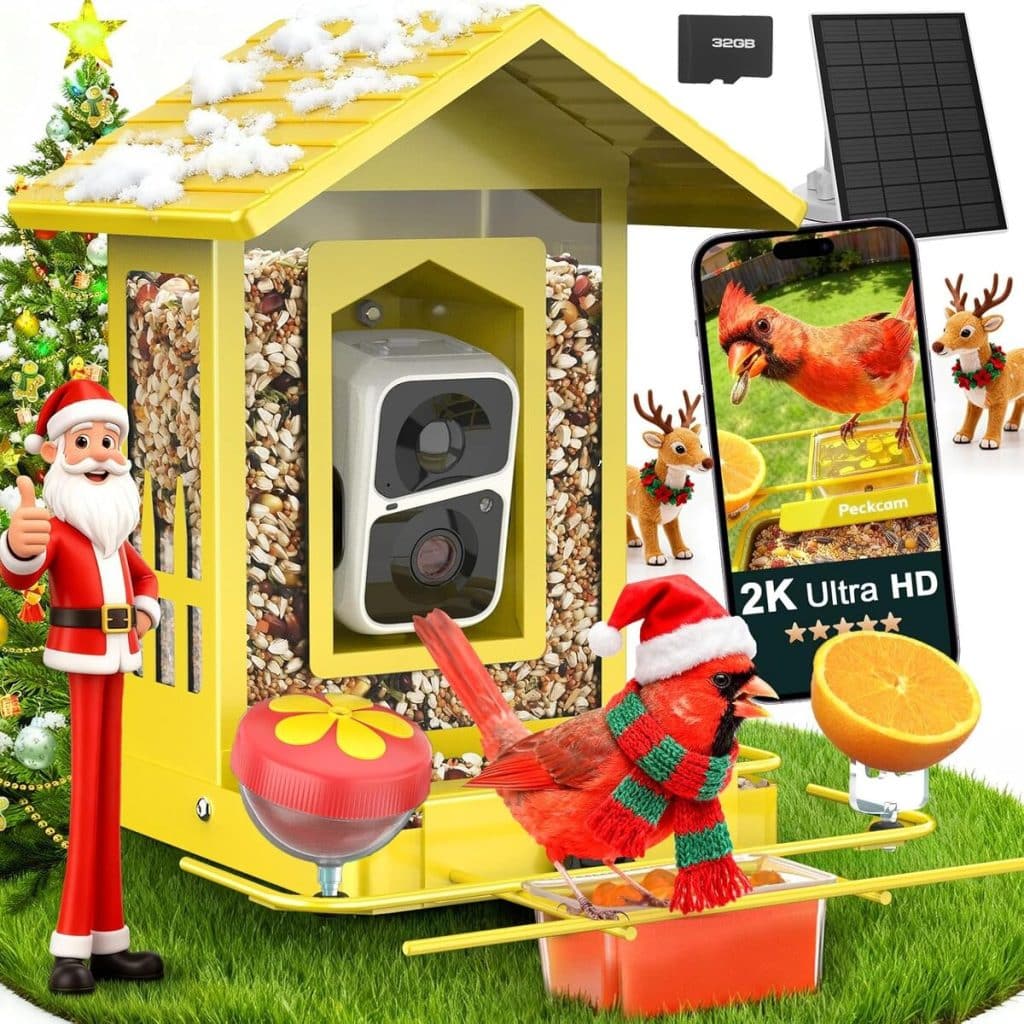 Test de la mangeoire intelligente PeckCam avec appareil photo jaune