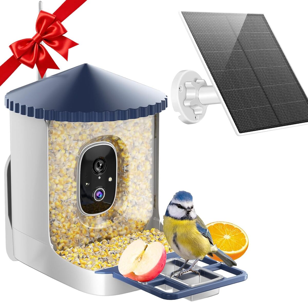 Test de la mangeoire Soliom BF02 avec caméra 2K HD