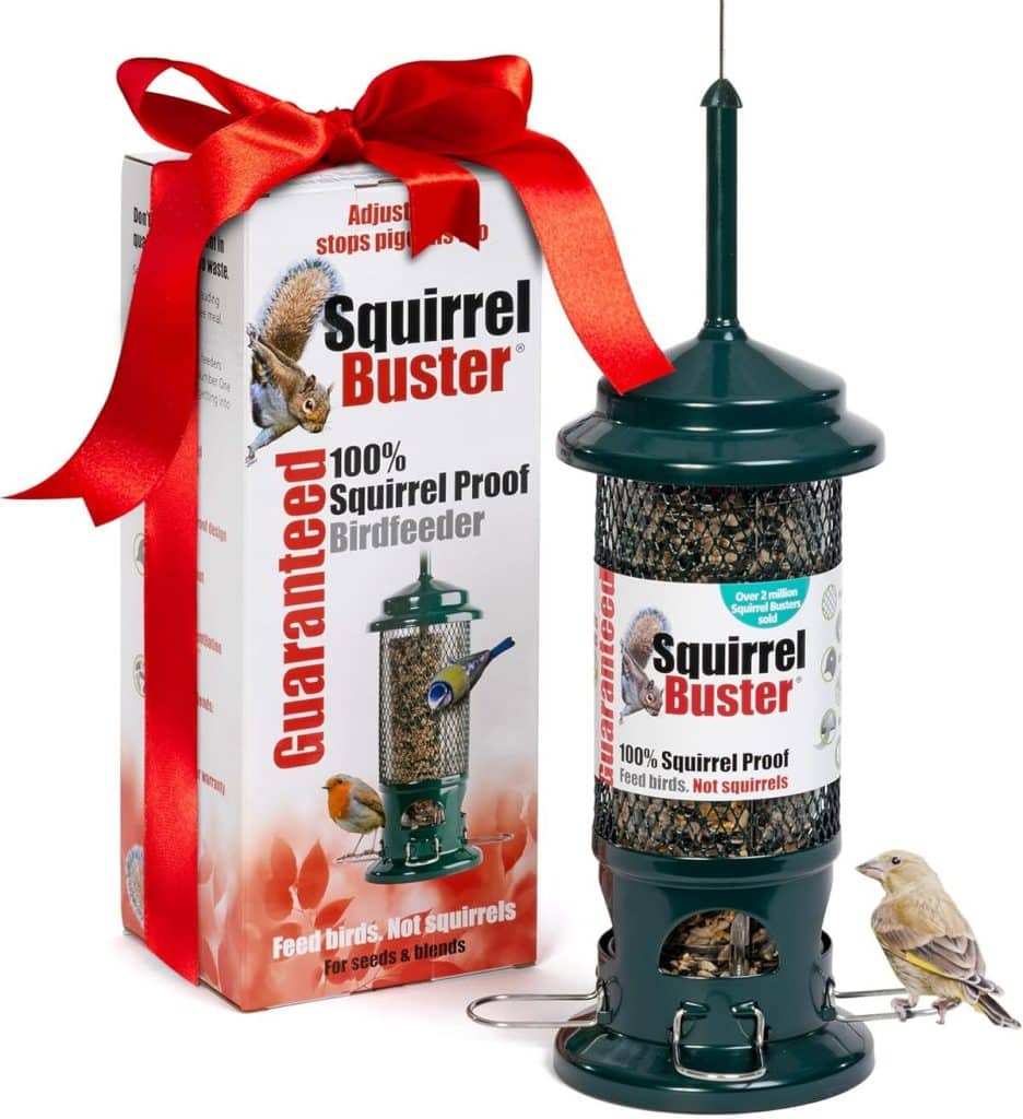 Test de la mangeoire Squirrel Buster : innovation anti-écureuils