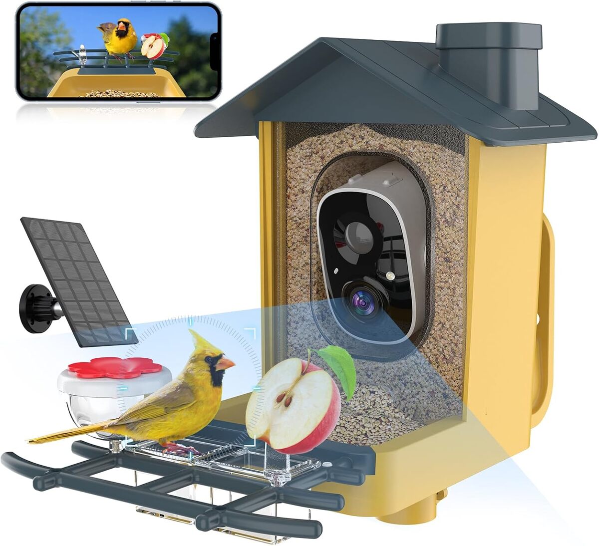 Test : mangeoire à oiseaux Oddkont avec caméra intelligente 2K