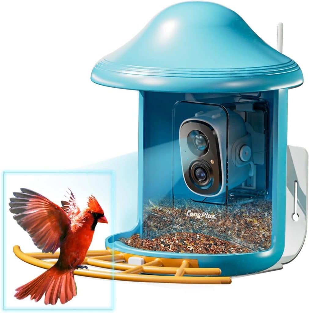 Test : mangeoire solaire intelligente avec caméra intégrée