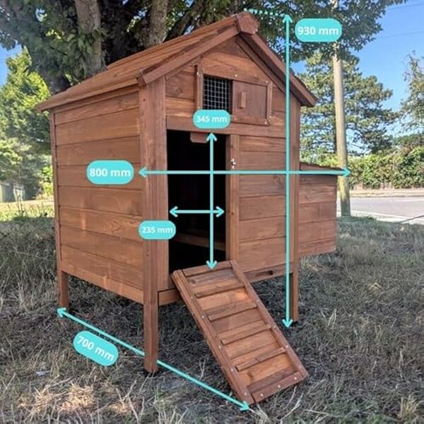 Découvrez notre test du poulailler Cémani S de Animal Valley : caractéristiques, avantages pour l'élevage de 2 poules et conseils d'entretien pour un abri optimal